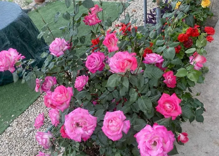 House On A Hill With Stunning Views Near Troodos Hébergement de vacances Silikou